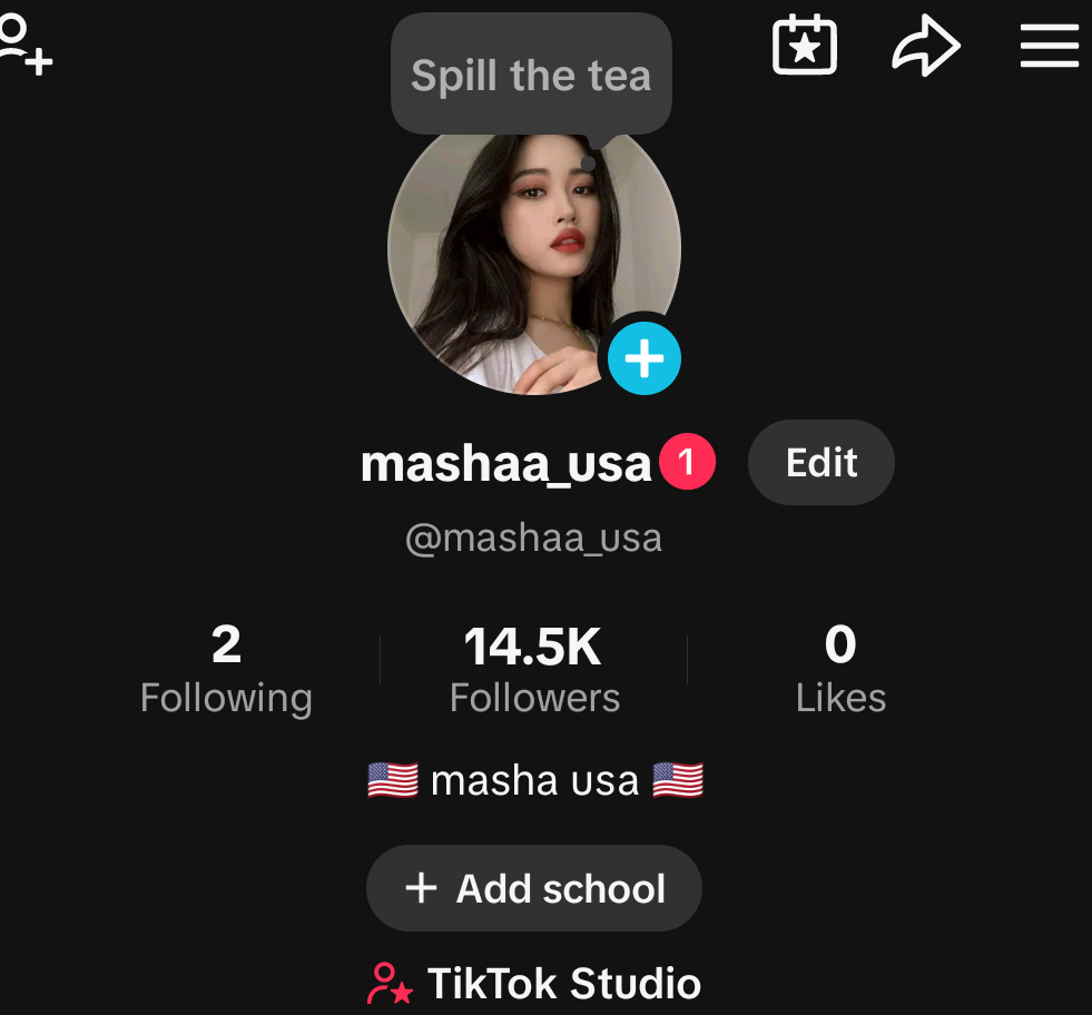 TikTok ?? account with 14000 followers